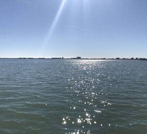 Sea Critters Cafe Menu Menu For Sea Critters Cafe St Pete Beach Treasure Island Tampa Bay Sea Critters Cafe Menu Menu For Sea Critters Cafe St Pete Beach Treasure Island Tampa Bay